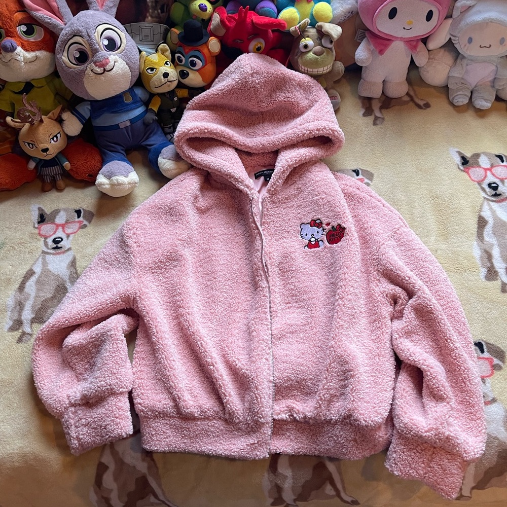 *NEVER BEFORE WORN* SHEIN X HELLO KITTY Embroided Jacket